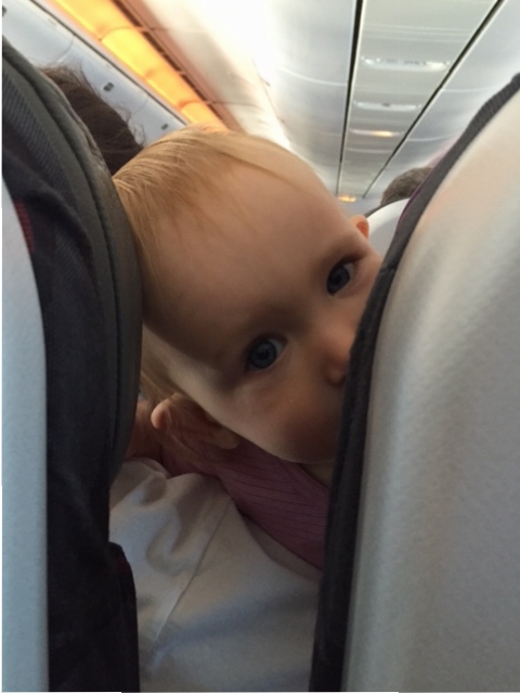 Image Result For Sydney Airport Travelling With Babies